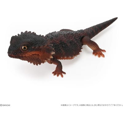 Echte Populariteit Gacha Biologische Encyclopedie Japanse Hagedis Baardagaam Actiefiguur Model Perfect Speelgoed black
