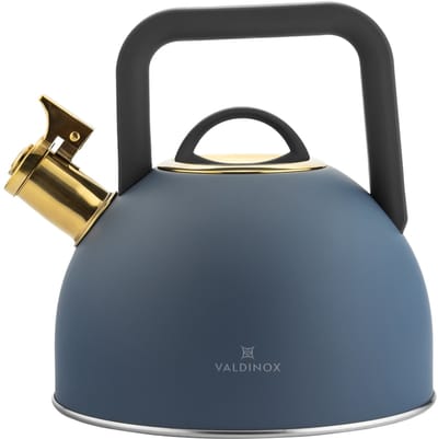 Fluitketel 2,5 Liter – RVS Waterketel voor Inductie & Gas – Donkerblauw Goud