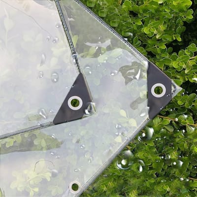 Waterdicht transparant PE-zeil met ingestanste ringen - weerbestendig opvouwbaar - regenbescherming voor tuinmeubelen en planten - geschikt voor camping en balkon - afdekzeil waterdicht - 2x2m