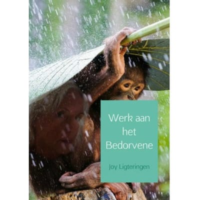Werk Aan Het Bedorvene - Joy Ligteringen