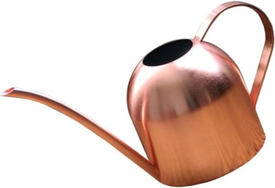 Metaal gieter voor kamerplanten - 500 ml mini gieter voor kleine woning - vintage design voor binnen en buiten