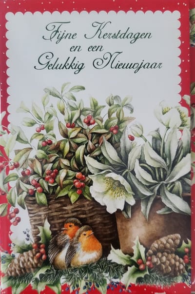 8 Kerstkaarten Roodborstjes Janneke Brinkman - 8 kaarten met enveloppen fijne feestdagen