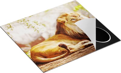 Chefcare Inductie Beschermer Leeuw - 60x50 cm - Afdekplaat Inductie - Kookplaat Beschermer - Inductie Mat