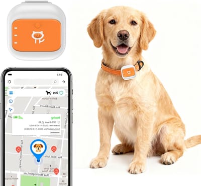GPS Tracker Huisdieren - Halsband Tracker - Veiligheid Dieren - 25 Dagen Batterijduur - 4.4x4.2x2.2 cm - Zwart