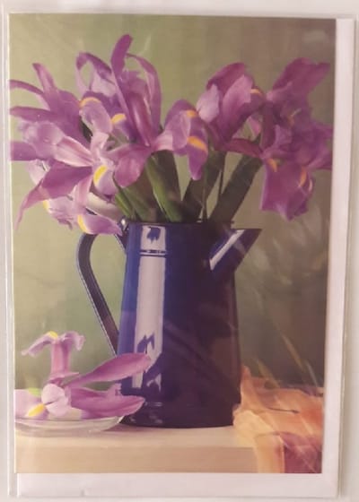 Een prachtige blanco kaart waarbij de kleuren goed bij elkaar passen. Een leuke wenskaart om zo te geven of om bij een cadeau te voegen. Een dubbele wenskaart inclusief envelop en in folie verpakt.
