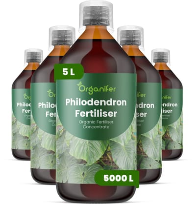 Vloeibare Meststof Voor Philodendron 5X1 L Voor 5000 L - Npk 2-1-8 - Stimuleert Weelderige Bladgroei En Levendige Bladkleur - Versterkt Stengels Voor Opgaande En Hangende Soorten - Verhoogt De Algehele Stressbestendigheid Binnenshuis - Organifer