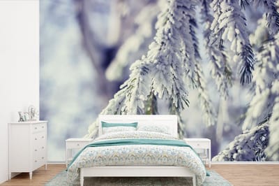 Behang - Fotobehang Winter - Dennenboom - Sneeuw - Landelijk - Breedte 360 cm x hoogte 240 cm