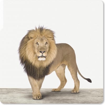 Muismat 20x20 cm - Mousepad Dieren - Leeuw - Wit - Muismatten