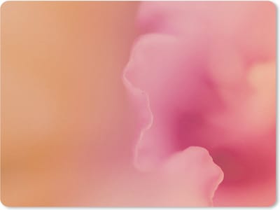Muismat Roze - Abstracte roze bloem muismat rubber - 23x19 cm - Muismat met foto