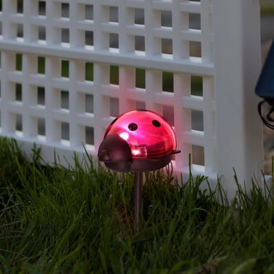 Solar Tuinlamp LED op Zonne-Energie – Lieveheersbeestje Decoratielamp Buiten – 1 Koel Witte LED – 75 x 60 x 156 mm – Met Grondpen – Automatisch Aan/Uit – Sfeerverlichting voor Tuin [11240C]