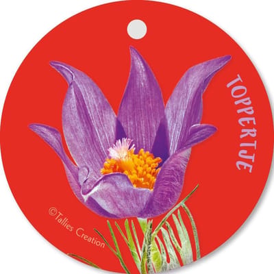 Tallies Cards - kadokaartjes  - bloemenkaartjes - Toppertje - Flowerpower - set van 5 kaarten - geslaagd - diploma - zwemdiploma - rijbewijs - 100% Duurzaam