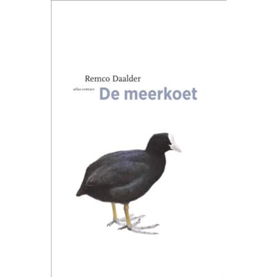 De Meerkoet - De Vogelserie - Remco Daalder