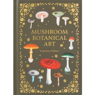 Mushroom Botanical Art - PIE International