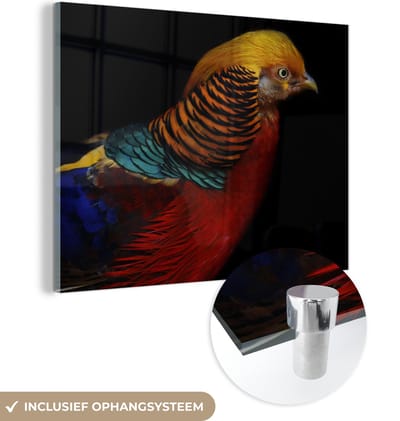 MuchoWow® Glasschilderij 160x120 cm - Schilderij acrylglas - Vogel - Veren - Zwart - Portret - Foto op glas - Schilderijen
