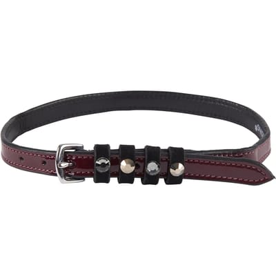 Leren spoorriemen voor paarden Imperial Riding Pardouz