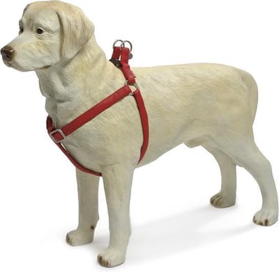 Beeztees - Hondentuig - Mac Leather - Rood - 50-75 cm