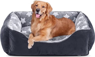 Wasbaar Hondenbed met Antislip en Verhoogde Randen - XL (89 x 63 x 23 cm) - Zacht en Comfortabel voor Honden en Katten