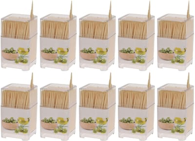 Dailygoods- Tandenstoker - Onbehandeld Hout - 450 Stuks - Duurzaam - Perfect voor Hapjes/Knutselen - Milieuvriendelijk - Spiesjes