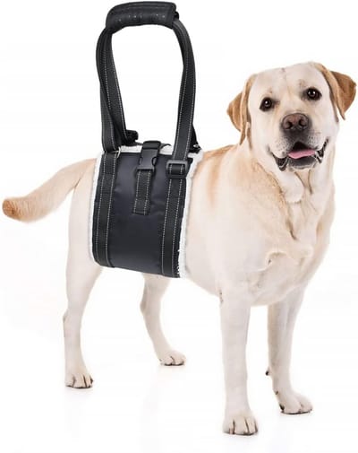Verstelbaar hondentuig met antislip gesp, ondersteunend en revalidatietuig voor zwakke achterpoten, zachte draagriem voor oudere, geblesseerde, gehandicapte honden en honden die een voorste kruisbandoperatie hebben ondergaan (L)