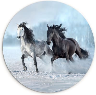 WallCircle® Wandcirkel 90x90 cm - Muurcirkel Paarden - Winter - Dieren - Natuur - Sneeuw - Muurdecoratie woonkamer - Wanddecoratie slaapkamer - Kamer decoratie accessoires - Ronde schilderijen