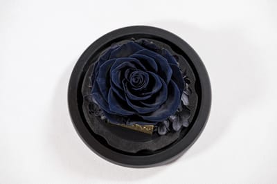 Dailygoods- Roos met geschenkdoos - Geconserveerde Infinity-roos - Stijlvol cadeau - Lange houdbaarheid - Decoratie voor speciale gelegenheden - Hoogwaardige materialen - Conserveerde Roos