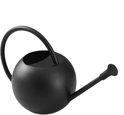 Waterkoker Roestvrij Staal - Bloemengieter Planten - Kamerplanten Water Geven - Klein Compact Ontwerp - 400ML - Zwart