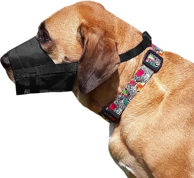 Honden Muilkorf - Honden Neusriem - Veiligheid Hond - Verstelbaar Nylon - Maat Large - Zwart