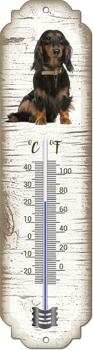 Thermometer: Teckel langharig | Hondenras | Temperatuur binnen en buiten | -25 tot +45C