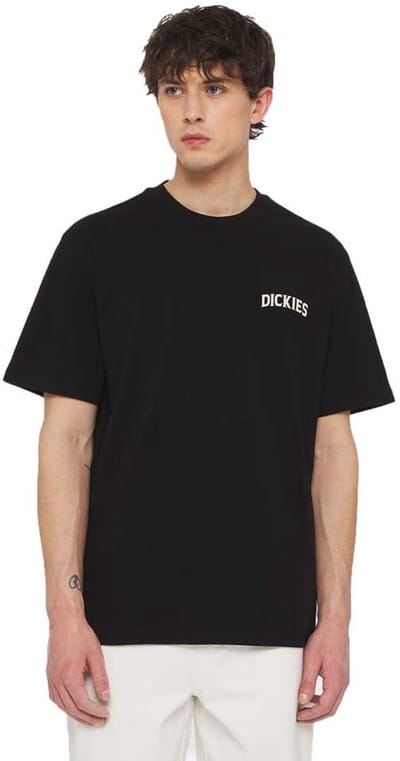 Dickies Elliston T-shirt Met Korte Mouwen Zwart XL Man