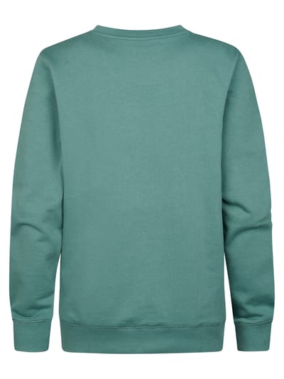Petrol Industries - Jongens Sweater met print en ronde hals Ocotillo - Groen