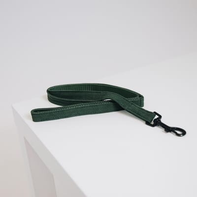 Kentucky Dogwear Lizard Hondenlijn / Hondenriem - Groen (Hagedissenprint) - Breedte: 2 cm - Lengte: 120 cm