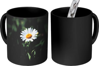 Magische Mok - Foto op Warmte Mokken - Koffiemok - Wit - Madeliefje - Bloem - Gras - Magic Mok - Beker - 350 ML - Theemok