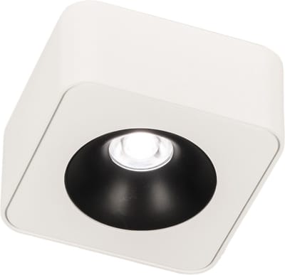 Lumidora Opbouwspot 75058 - NEWCASTLE - Ingebouwd LED - 5.0 Watt - 400 Lumen - 2700 Kelvin - Wit - Metaal - Badkamerlamp