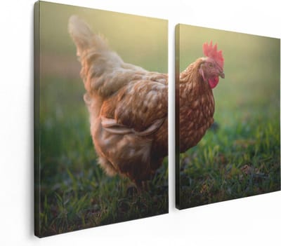 Artaza Canvas Schilderij Tweeluik Kip in het Gras - 120x80 - Foto Op Canvas - Canvas Print