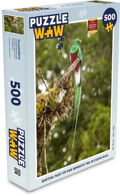 Puzzel Quetzal rust op een bemoste tak in Costa Rica - Legpuzzel - Puzzel 500 stukjes