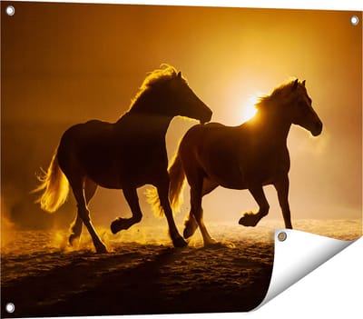 Gards Tuinposter Silhouet van Twee Paarden - 80x60 cm - Tuindoek - Tuindecoratie - Wanddecoratie buiten - Tuinschilderij