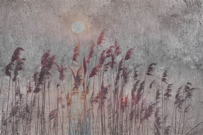 Fotobehang - Reed Abstract 375x250cm - Vliesbehang