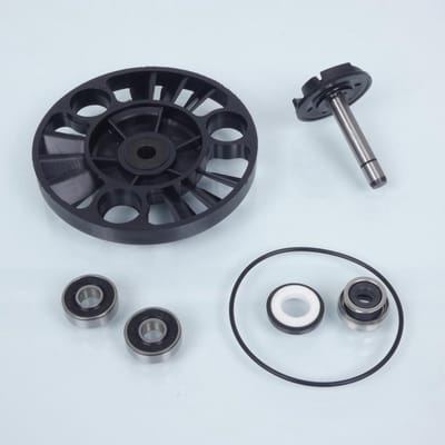 buzzetti waterpomp voor tweewieler peugeot 125 nieuw