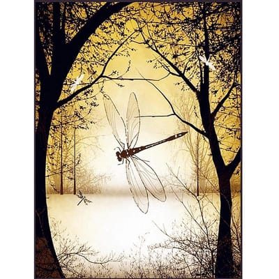 Diy diamant borduurwerk steentjes borduurwerk Dragonfly 5d diamant schilderij mozaïek geschenk diamant 20X30CM beige
