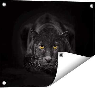 Gards Tuinposter Zwarte Panter met Oranje Ogen - 50x40 cm - Tuindoek - Tuindecoratie - Wanddecoratie buiten - Tuinschilderij