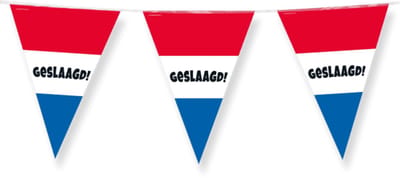 Party flags - Geslaagd rwb