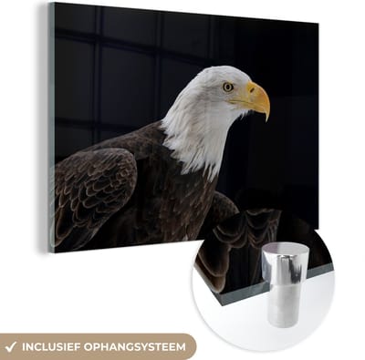 MuchoWow® Glasschilderij 60x40 cm - Schilderij acrylglas - Adelaar - Vogel - Snavel - Zwart - Foto op glas - Schilderijen