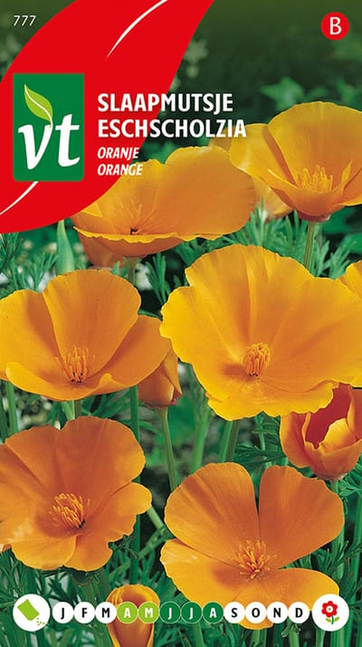 Slaapmutsje 'Oranje' - Papaverachtige Bloemen met Blauwgroen Blad
