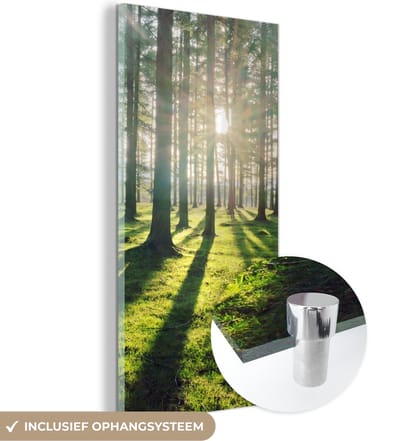 MuchoWow® Glasschilderij 20x40 cm - Schilderij acrylglas - Bomen - Natuur - Bos - Foto op glas - Schilderijen