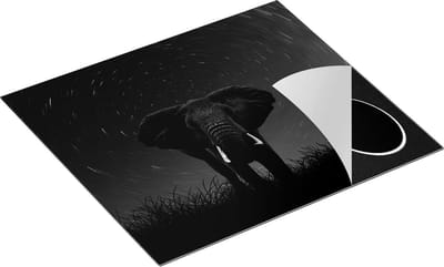 Chefcare Inductie Beschermer Olifant Omringd met Sterren - Zwart Wit - 60x50 cm - Afdekplaat Inductie - Kookplaat Beschermer - Inductie Mat