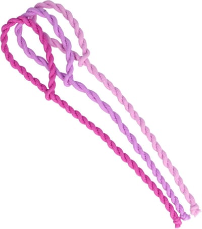 Haarsoires Haarelastieken Basic - Hair Tie Koord - Paars - Set van 3 - Eenvoudige Haar Elastieken voor Dagelijks Gebruik