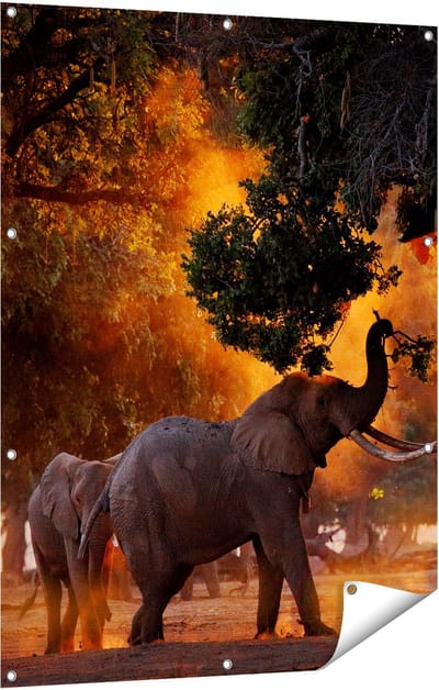 Gards Tuinposter Twee Olifanten in het Bos - 90x120 cm - Tuindoek - Tuindecoratie - Wanddecoratie buiten - Tuinschilderij