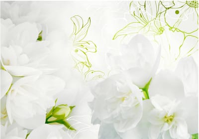 Fotobehangkoning - Behang - Vliesbehang - Fotobehang - Jasmine - Bloemen - 400 x 280 cm