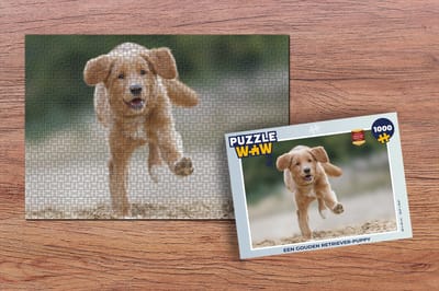 Puzzel Een gouden Retriever-puppy - Legpuzzel - Puzzel 1000 stukjes volwassenen