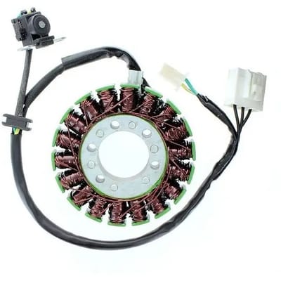 Originele aanpasbare motor dynamo Electrosport Kawasaki